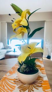 City View Apartment near Diamond Mall - 2