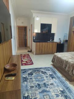 house alma - 4
