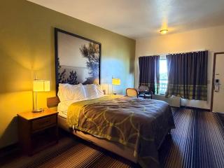 Super 8 by Wyndham Wells - 5