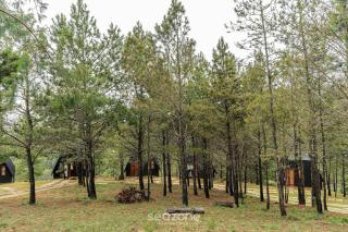 Chales Naturale - Campos do Jordão - CNA - 6