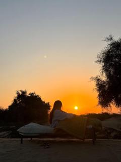 The Grand Heritage Resort Camp - 8