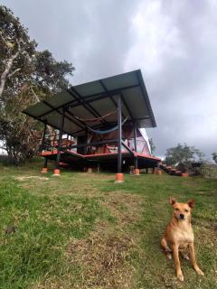 Glamping Mi Casita - 8