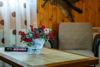 Viscri Trophy Cabin - Jibert - 7