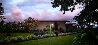Yellow Tree Suites - 2