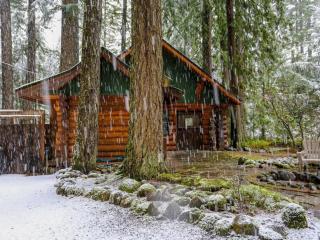 Zoe's Log Cabin - Welches - 9