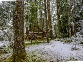 Zoe's Log Cabin - Welches - 8
