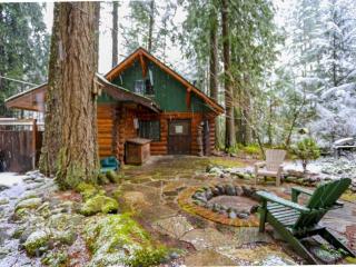 Zoe's Log Cabin - Welches - 5