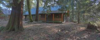 Zoe's Log Cabin - Welches - 3
