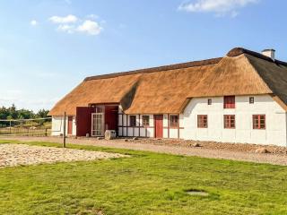 5 star holiday home in Blåvand - 0