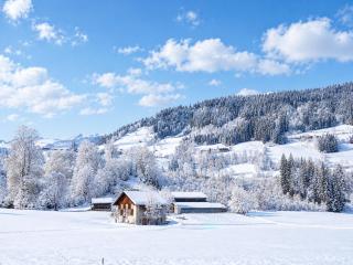 Apartment in Tyrol near Kitzbühel -  - 8