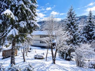 Chalet in Zweinitz near ski slopes - 5