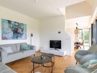 Beautiful villa in the dunes of Ameland - 7