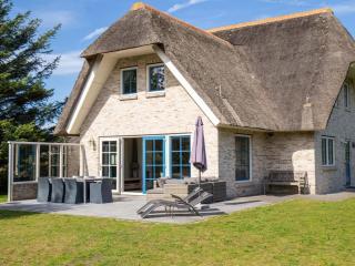 Charming villa in the dunes of Ameland - 4