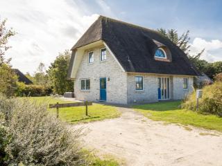 Charming villa in the dunes of Ameland - 0