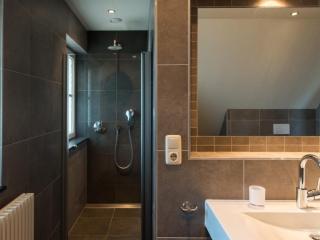 Charming villa in the dunes of Ameland - 6
