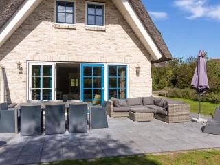 Charming villa in the dunes of Ameland - 4