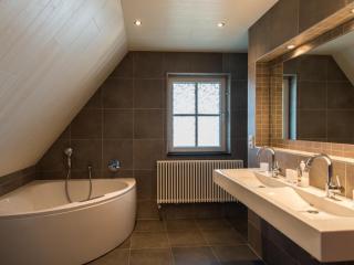 Charming villa in the dunes of Ameland - 1