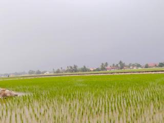 Homestay Tenang DBendang - 9