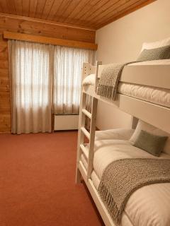 Trysil Alpin med ski inn ski ut og badstue - 6