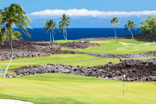 ❤PiH❤ ONE OCEAN OHANA Expansive Views Exclusive Oceanfront Grotto pool plus private pool spa - 8
