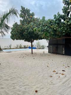 Finca Tulum privada en Irapuato - 5