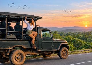 Perfect Safari lodge - 9