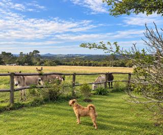 Fernhill Guest Farm - 5