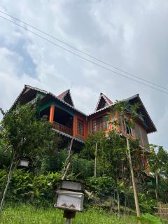 Himalayan Farmer Farm - 4
