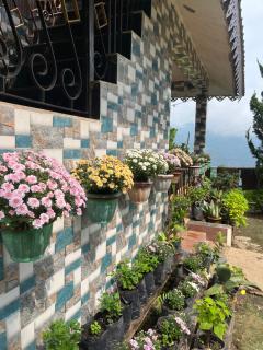 Himalayan Farmer Farm - 2