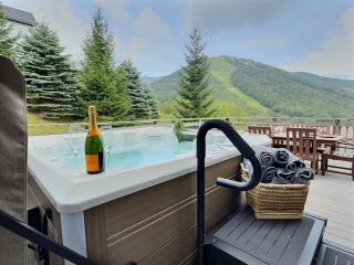 SlopeSide Chalet- Ski to and from your home! - 0