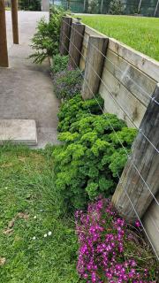 Bever Cottage - 1 bedroom - 6