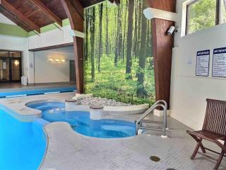 SnowCub- Pets Indoor Pool Hot Tub Sauna Fireplace - 3