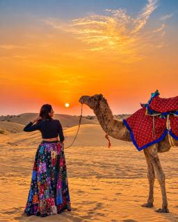 Desert Island Luxury Camp & Resort Jaisalmer - 0