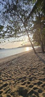Island Village Stay, Fiji - 1