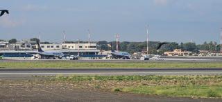 Melissa lux- Aeroporto - 7