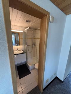 Chalet Amaryllis - Jungfrau View Apartment - 5