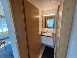 Chalet Amaryllis - Jungfrau View Apartment - 6