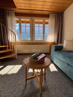 Chalet Amaryllis - Jungfrau View Apartment - 2