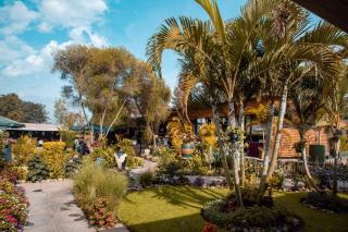 Acacia Boutique Hotel - 4
