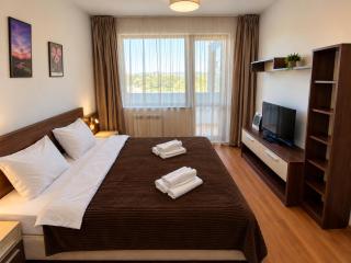 Belvedere F201 2-Bedroom Mountain View & Direct Spa Access - Bansko - 4