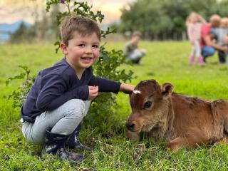 Fernhill Guest Farm - 8