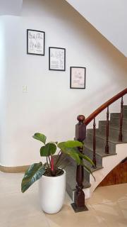 Blue Lantern Homestay - 6