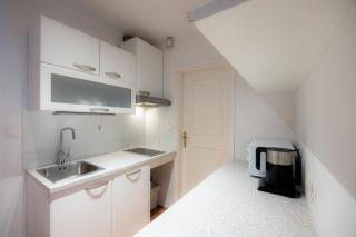 Duplex Apartment Panj Kranjska Gora - 4