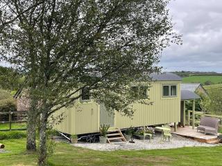 Romantic Shepherds Hut near Bude, North Cornwall - 9