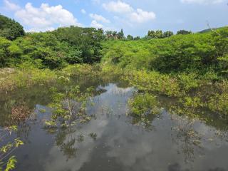 Khao Yai Countryside Retreat - 5