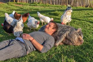 Fernhill Guest Farm - 9