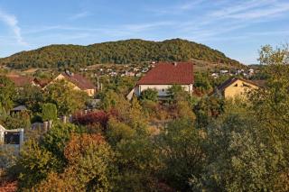Forest View Studio - 1