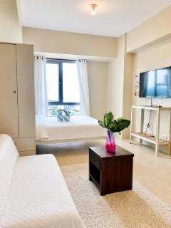 Walking Distance Ayala Mall Central block Studio Avida It Park - 7