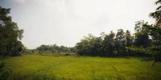 Gabba Resort - 3