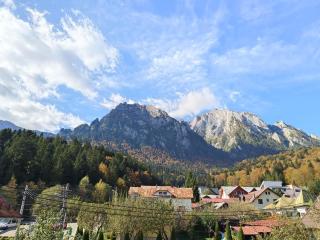 D&D Apartament - Busteni Mountain View - 5